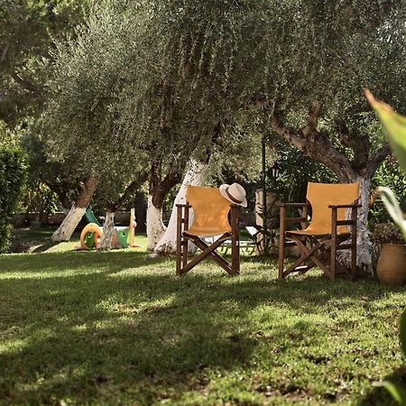 Katerina Studios Tsilivi  Dış mekan fotoğraf